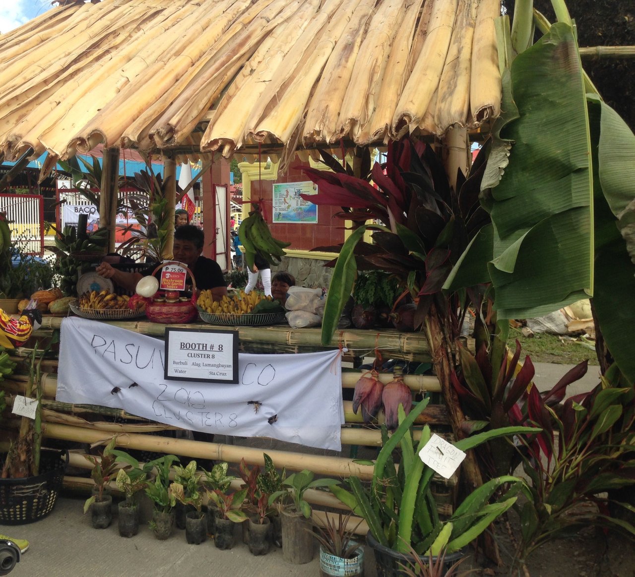 Banana Festival Image 4