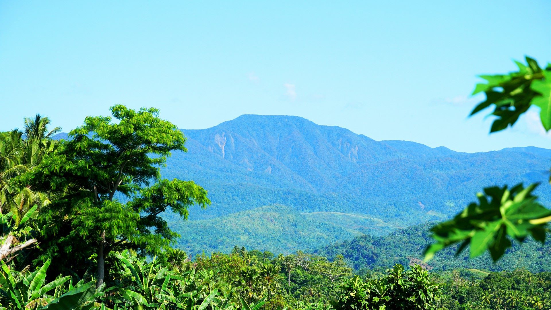 Image for Bato Viewing Hills